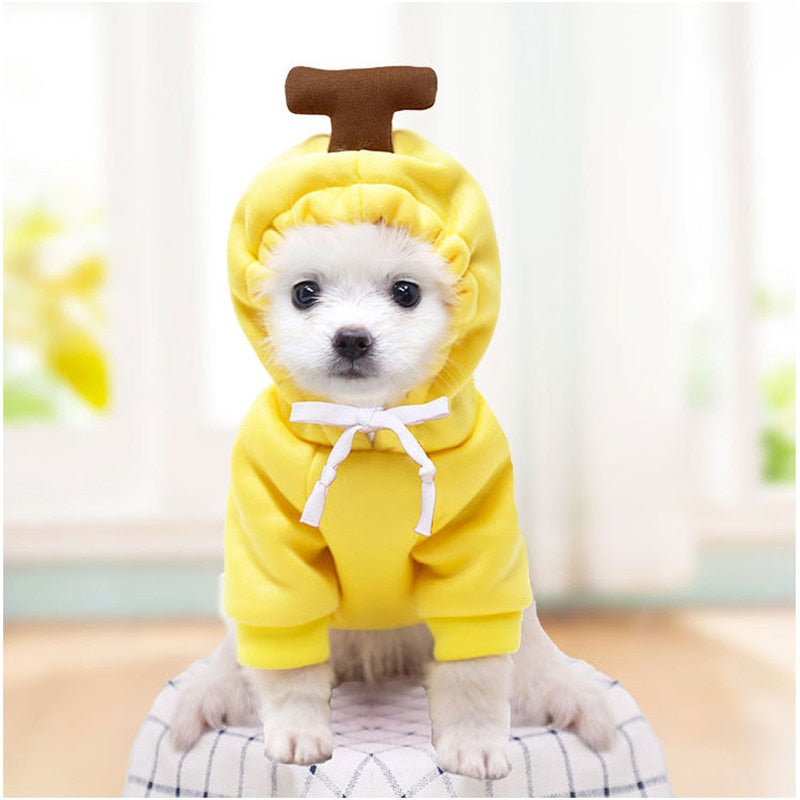Köpek Sweatshirt 44799578