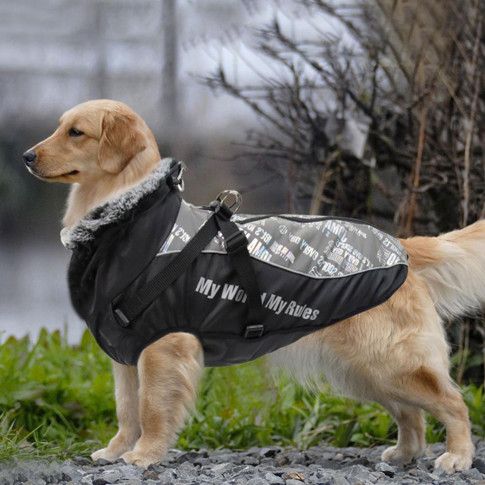 Köpek Yağmurluk