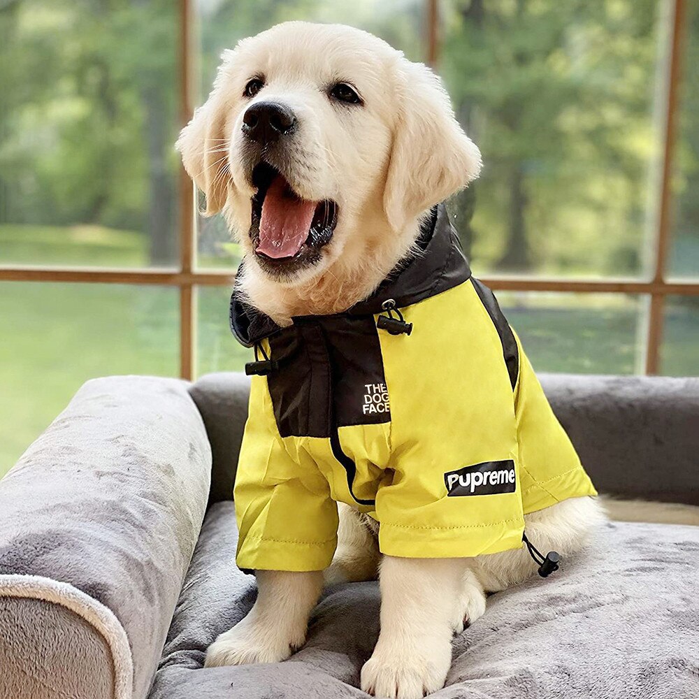 Köpek Yağmurluk