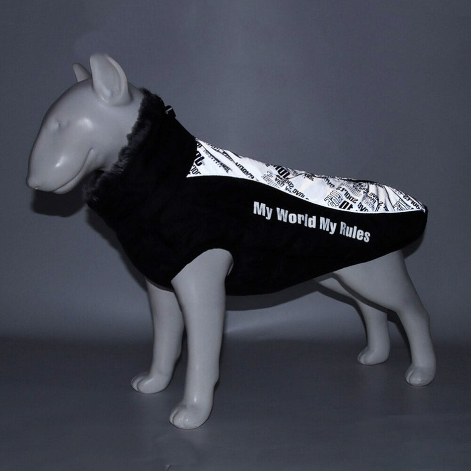 Köpek Yağmurluk