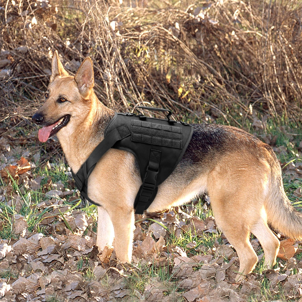 Köpek göğüs tasması tactical Kayış Seti 40621272
