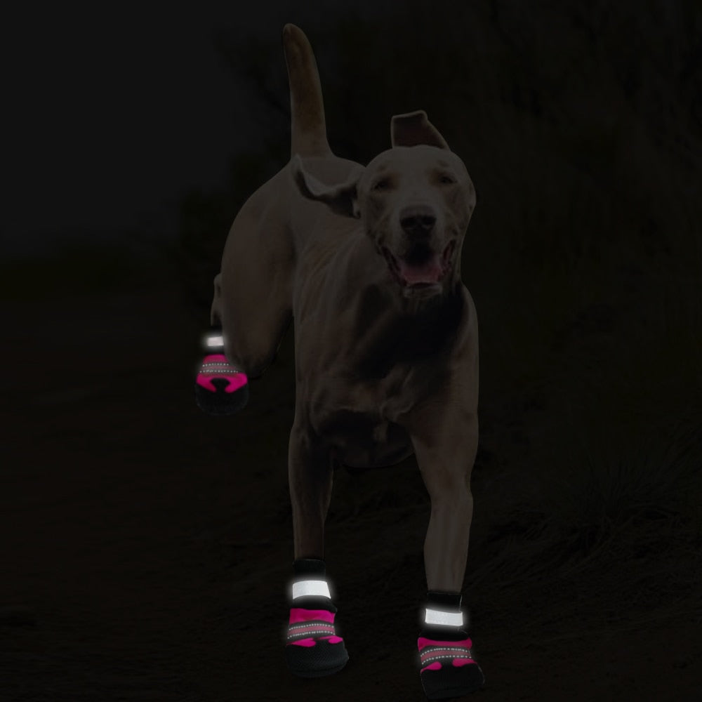 Köpek ayakkabısı Reflective 9886829