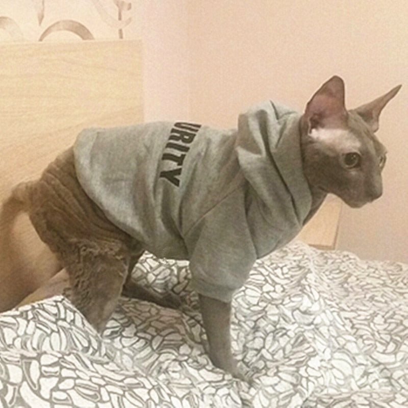 Kedi Sweatshirt 12467385