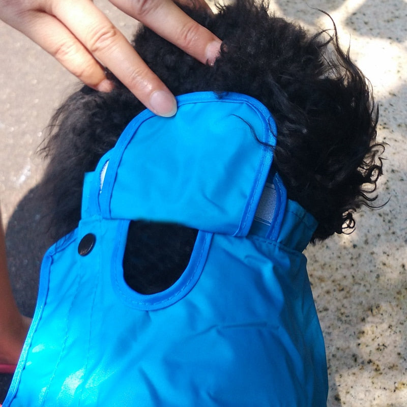 Köpek Mont Yağmurluk Tulum 18803485