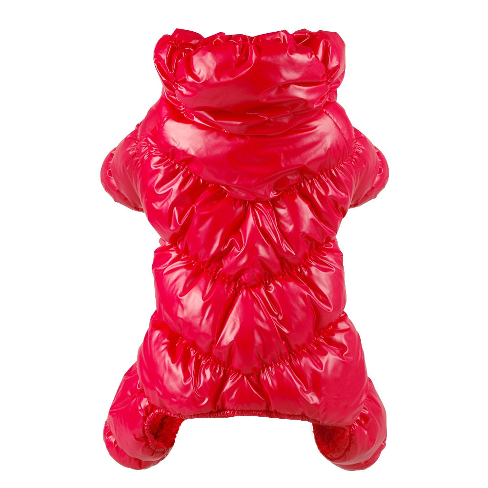 Köpek montu 19564699