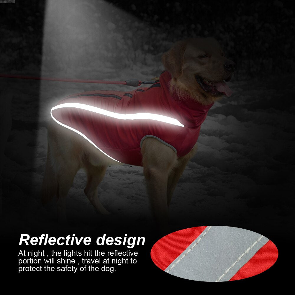 Köpek yağmurluk POLAR 22569102