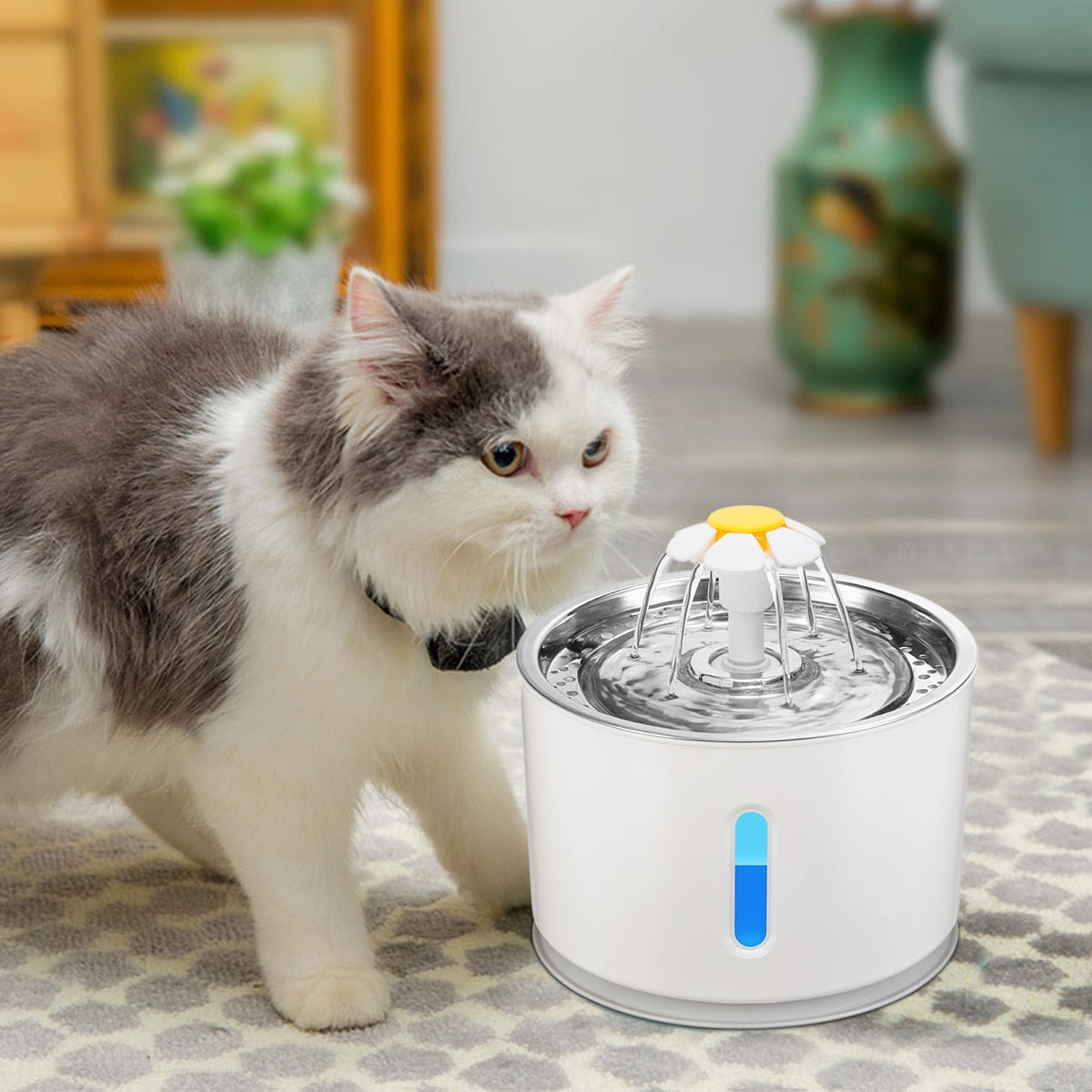 Kedi su kabı 26772147
