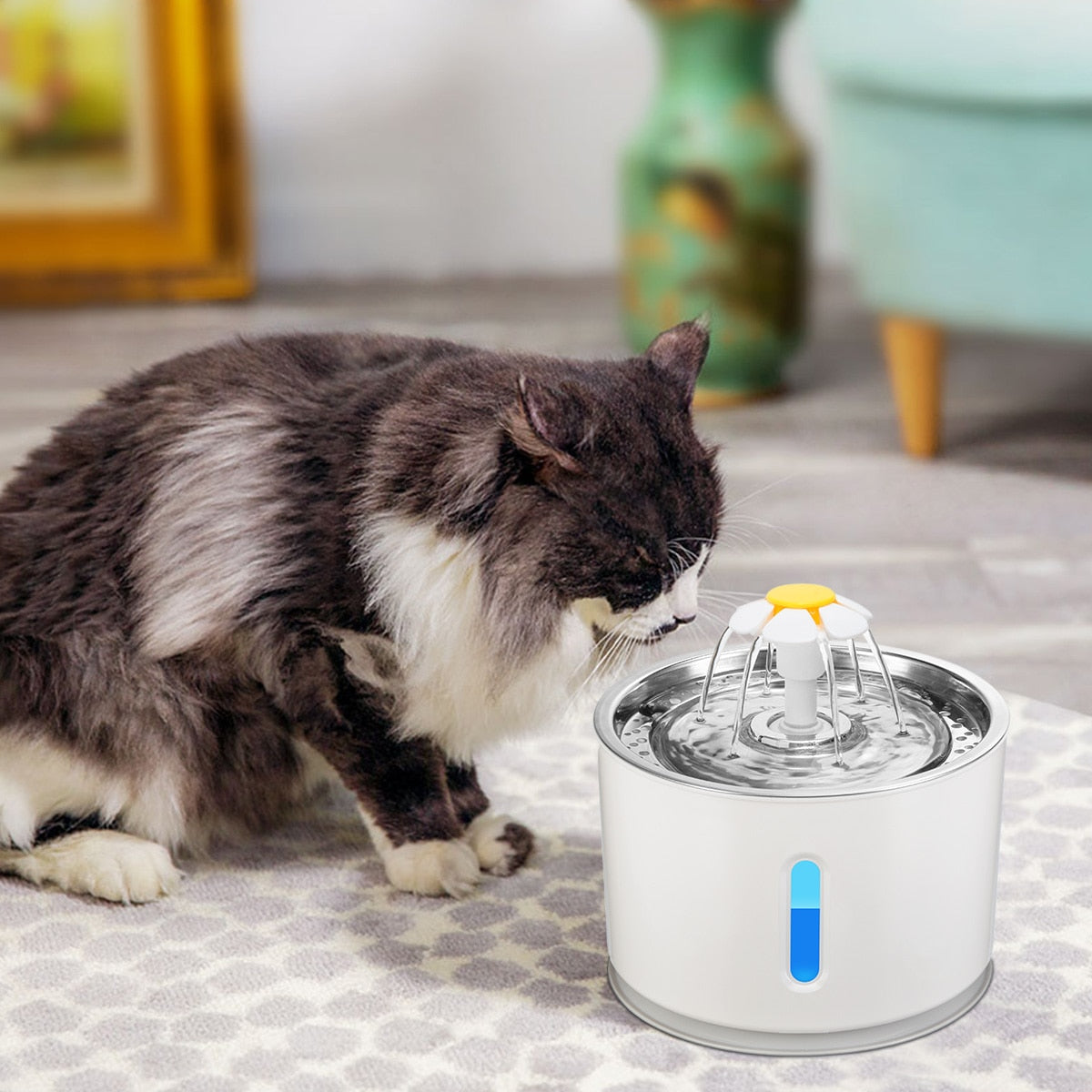 Kedi su kabı 26772147