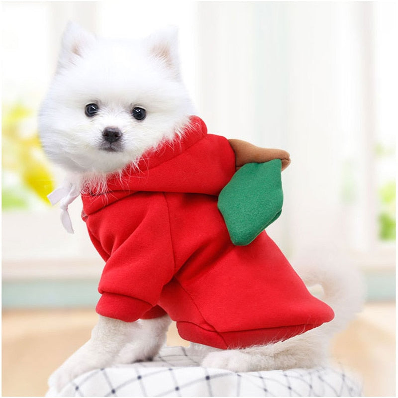 Köpek Sweatshirt 44799578