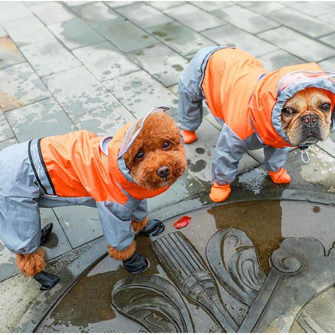 Köpek Yağmurluk 40833109