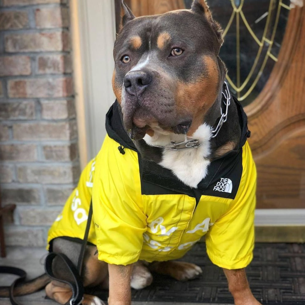 Köpek Yağmurluk