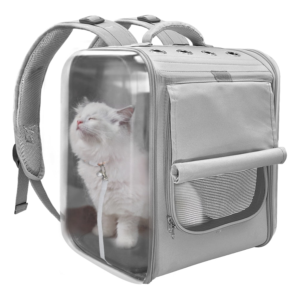 Kedi taşıma çantası 31779046