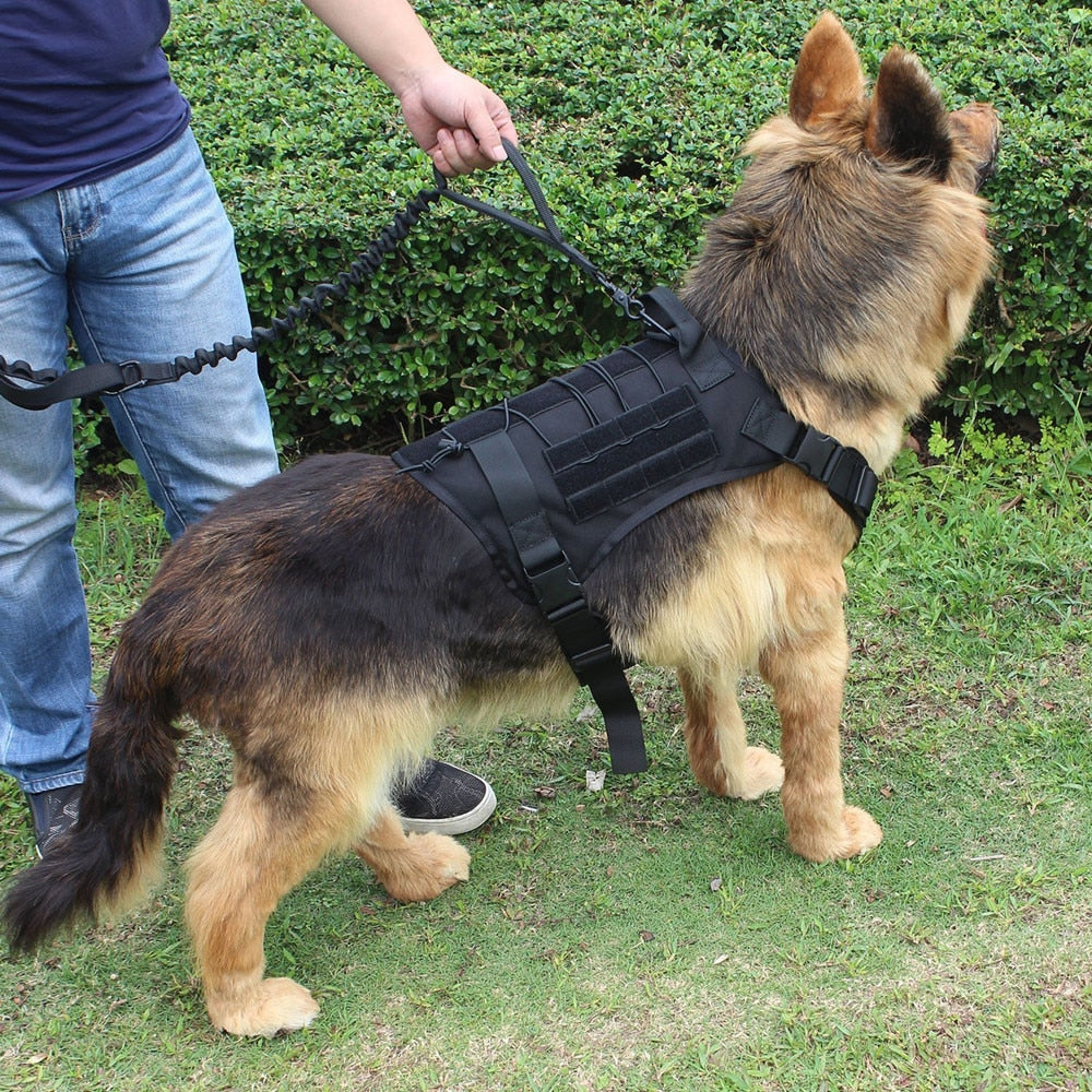Köpek Göğüs Tasması Kayış Set Tactical 39810022