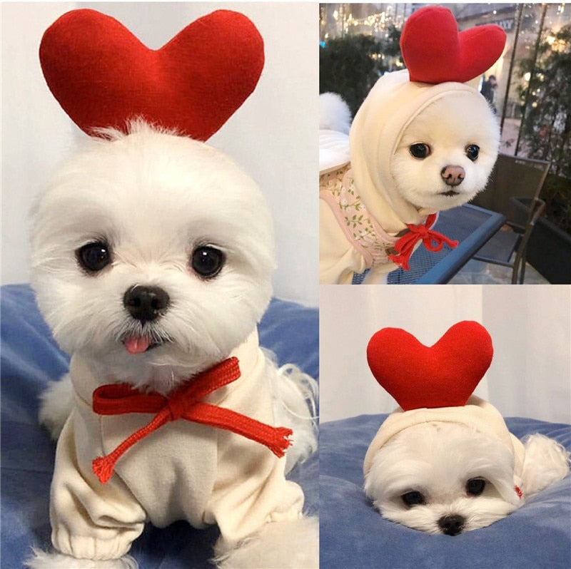 Köpek Sweatshirt 44799578