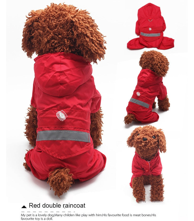 Köpek Yağmurluk Ayakkabı SETİ 29891857
