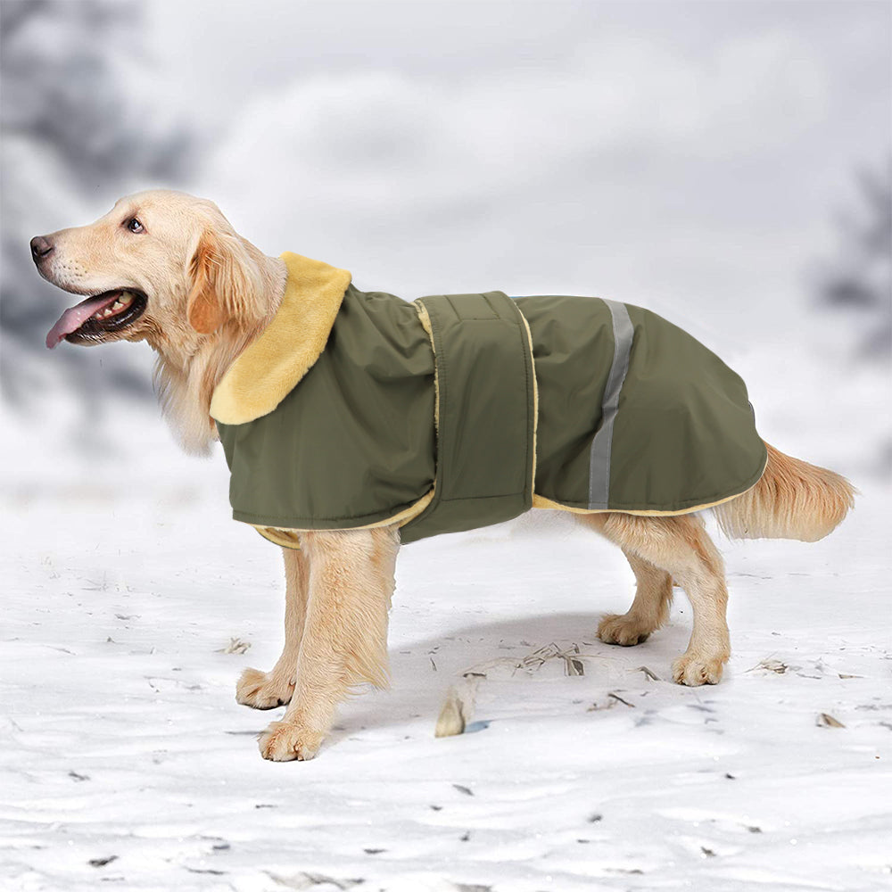 Köpek Yağmurluk