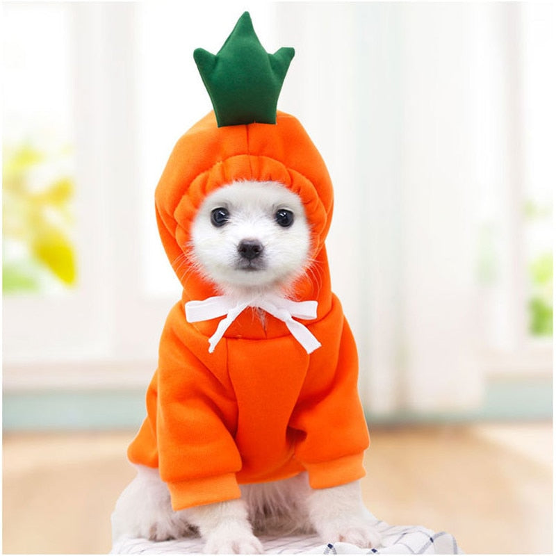 Köpek Sweatshirt 44799578