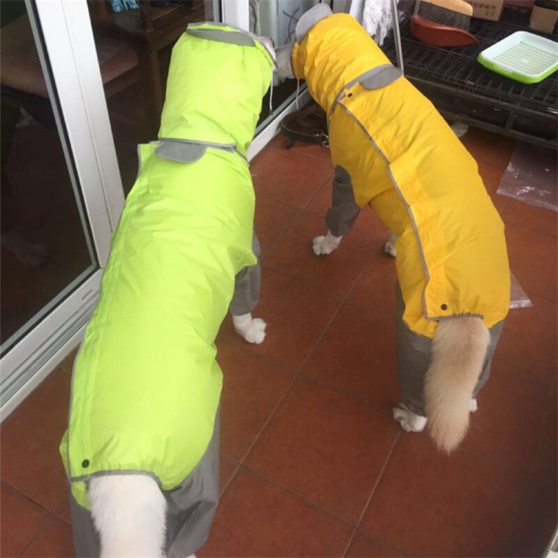Köpek Mont Yağmurluk Tulum 18803485