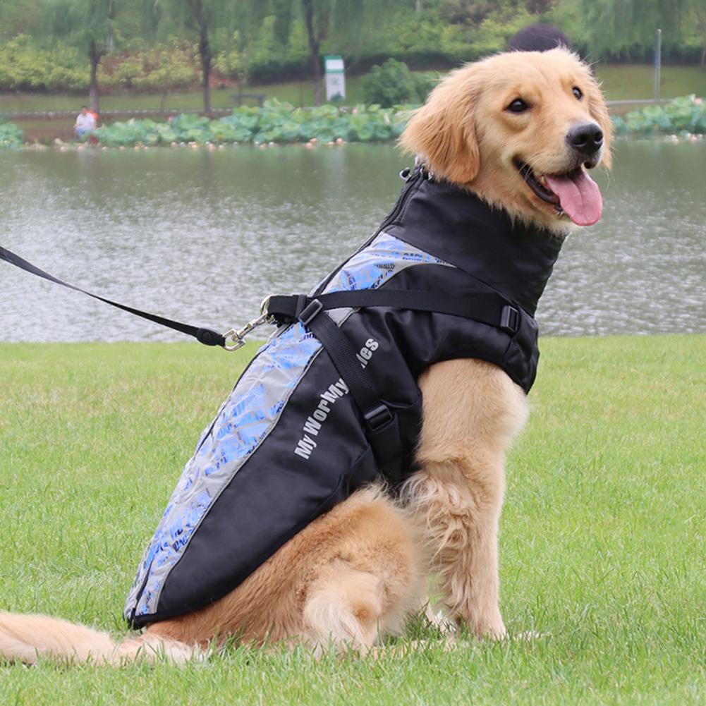 Köpek Yağmurluk