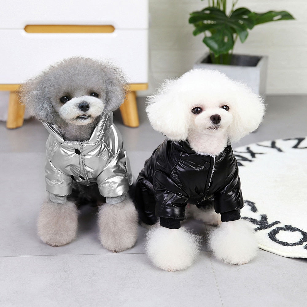 Köpek Yağmurluk