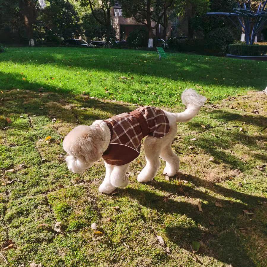 Köpek Montu 39723103