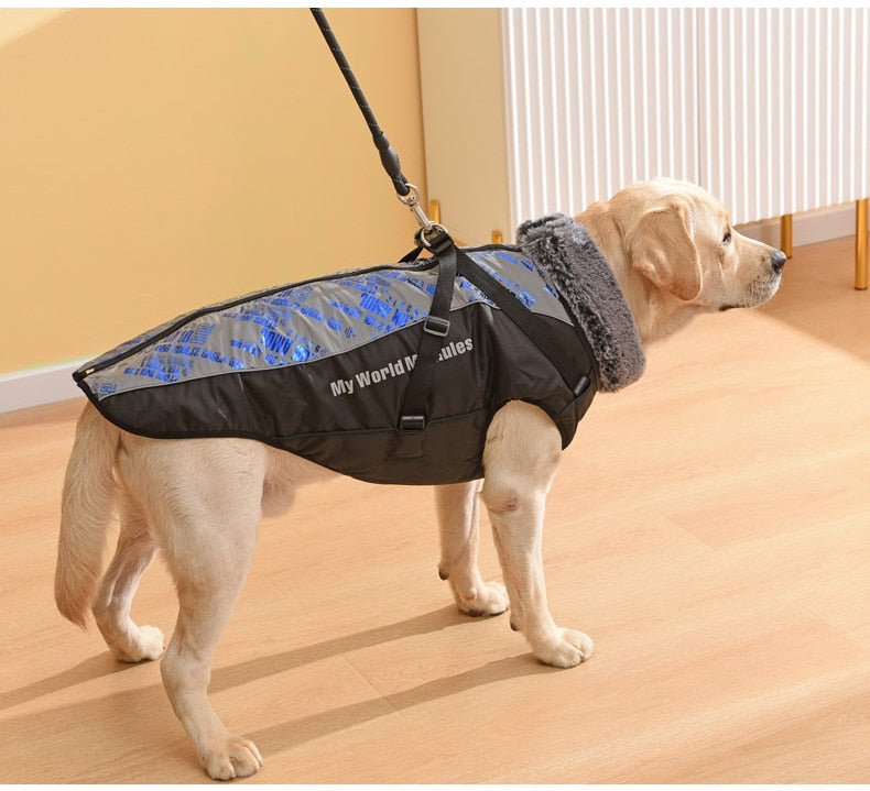 Köpek Yağmurluk
