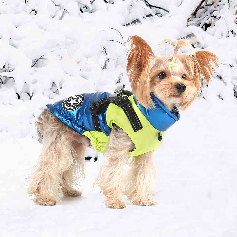 Köpek Yağmurluk 16843546