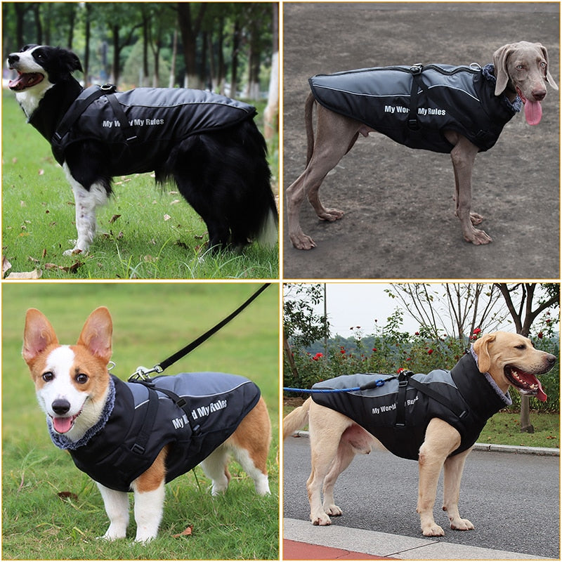 Köpek Yağmurluk 75668604