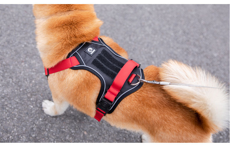Köpek Göğüs Tasması 51005989