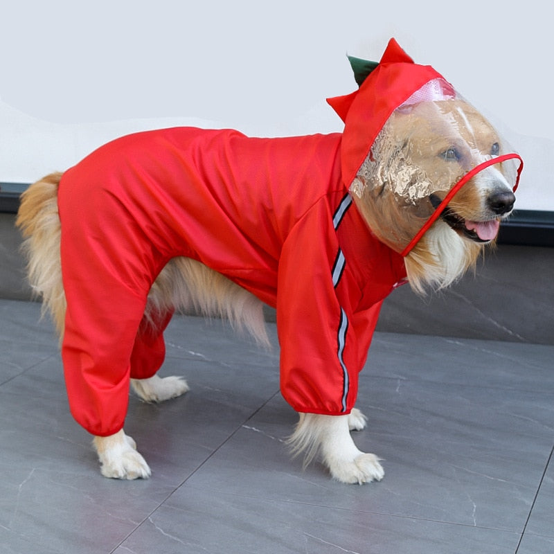 Köpek Yağmurluk