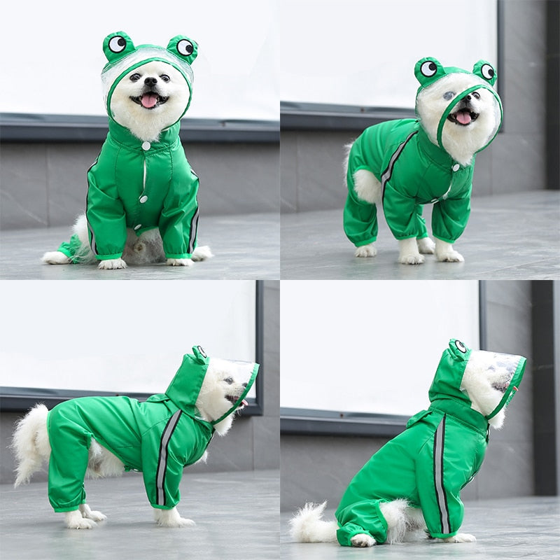Köpek Yağmurluk