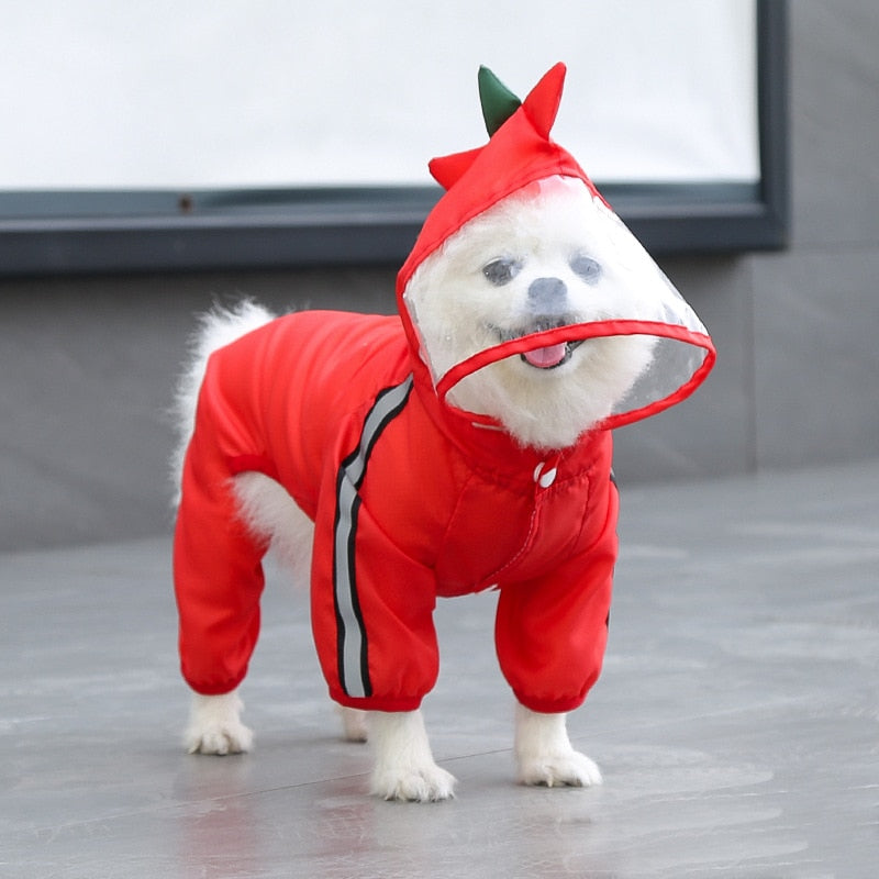 Köpek Yağmurluk