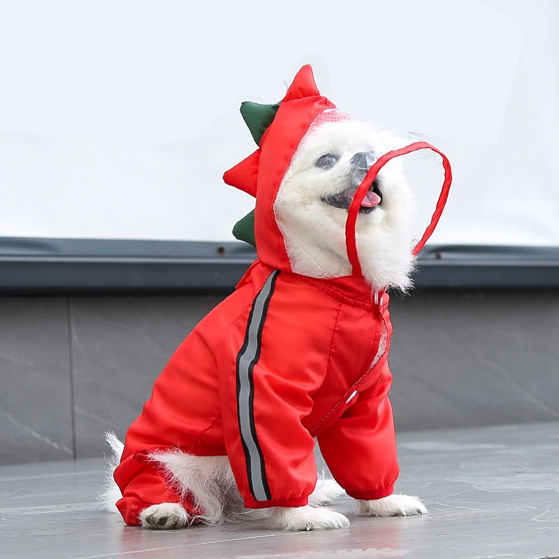 Köpek Yağmurluk