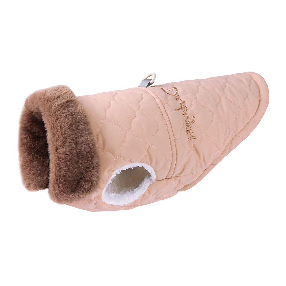 küçük ırk köpek montu