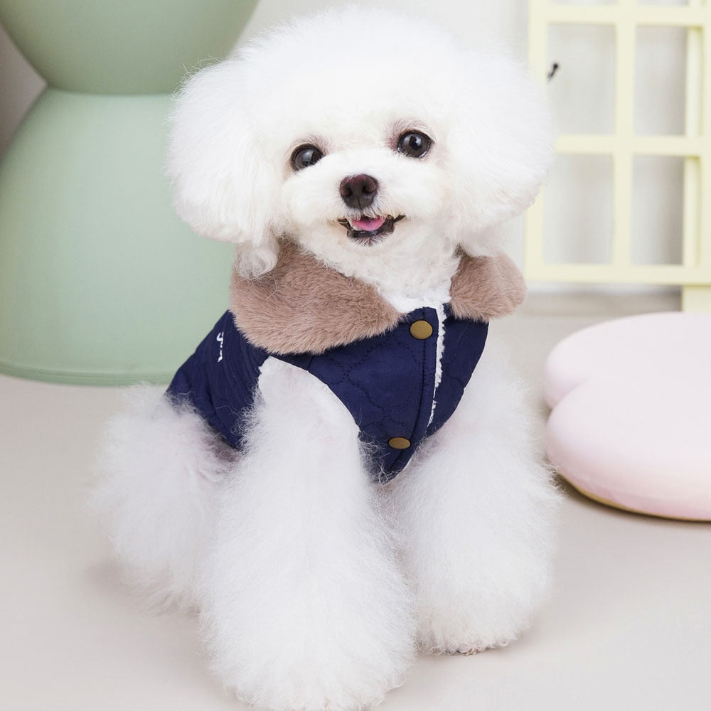 köpek montu
