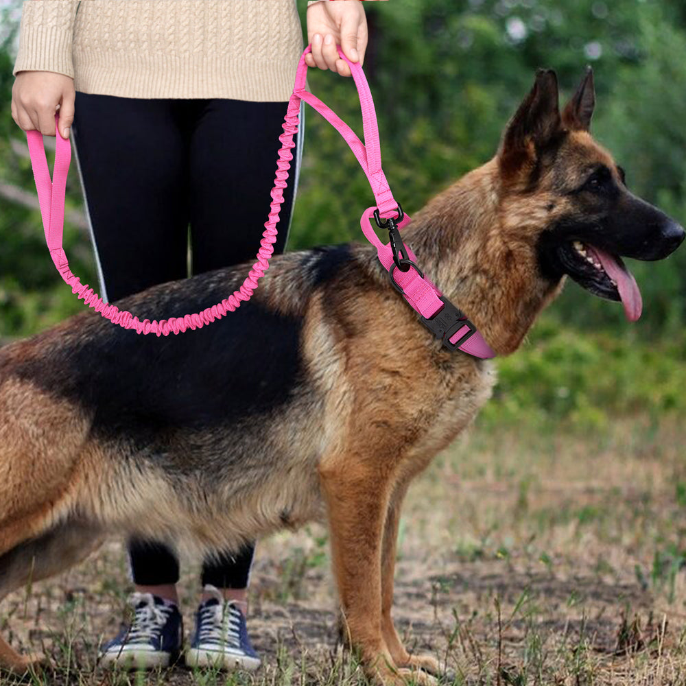 Köpek Göğüs Tasması Tactical SET 42792666
