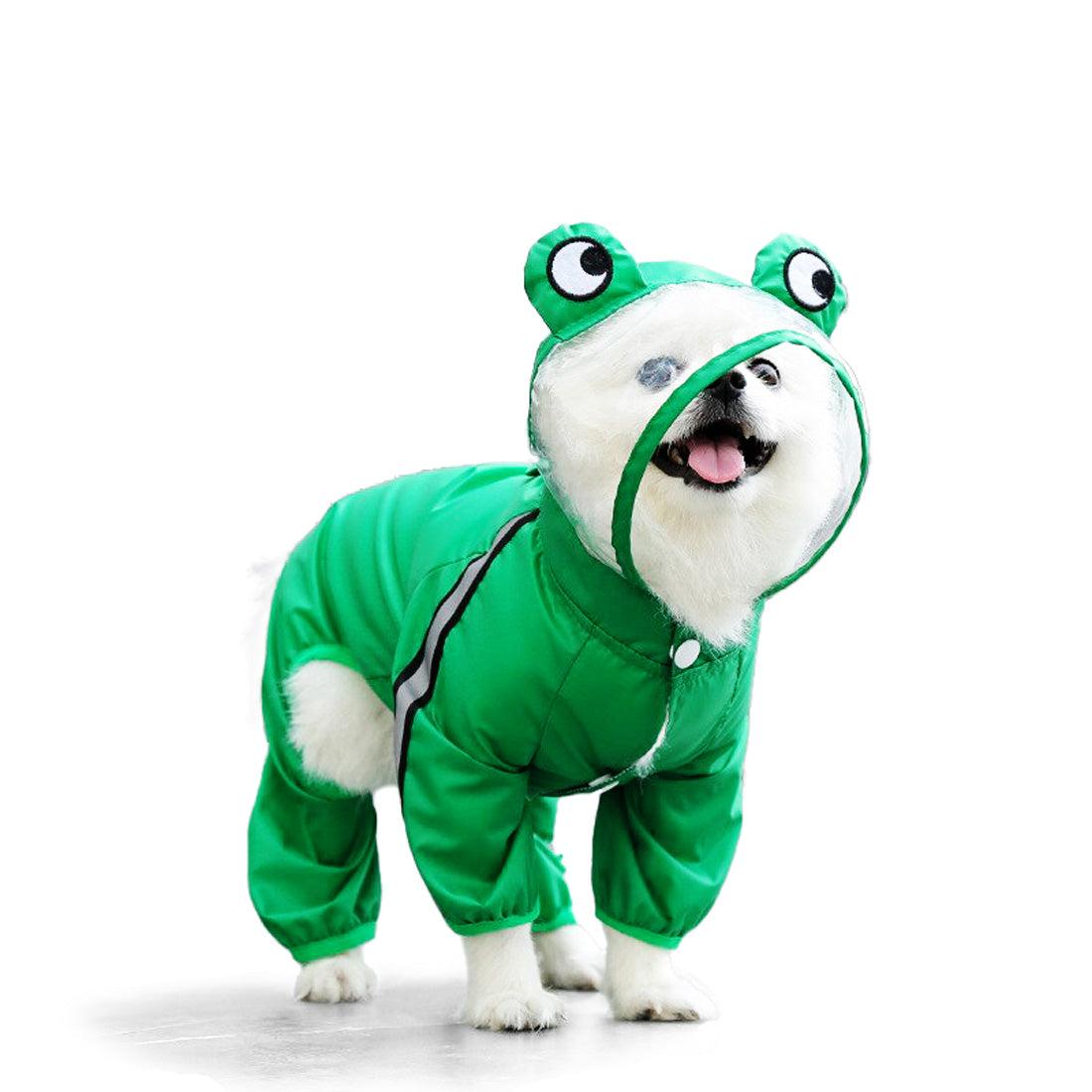 köpek yağmurluk