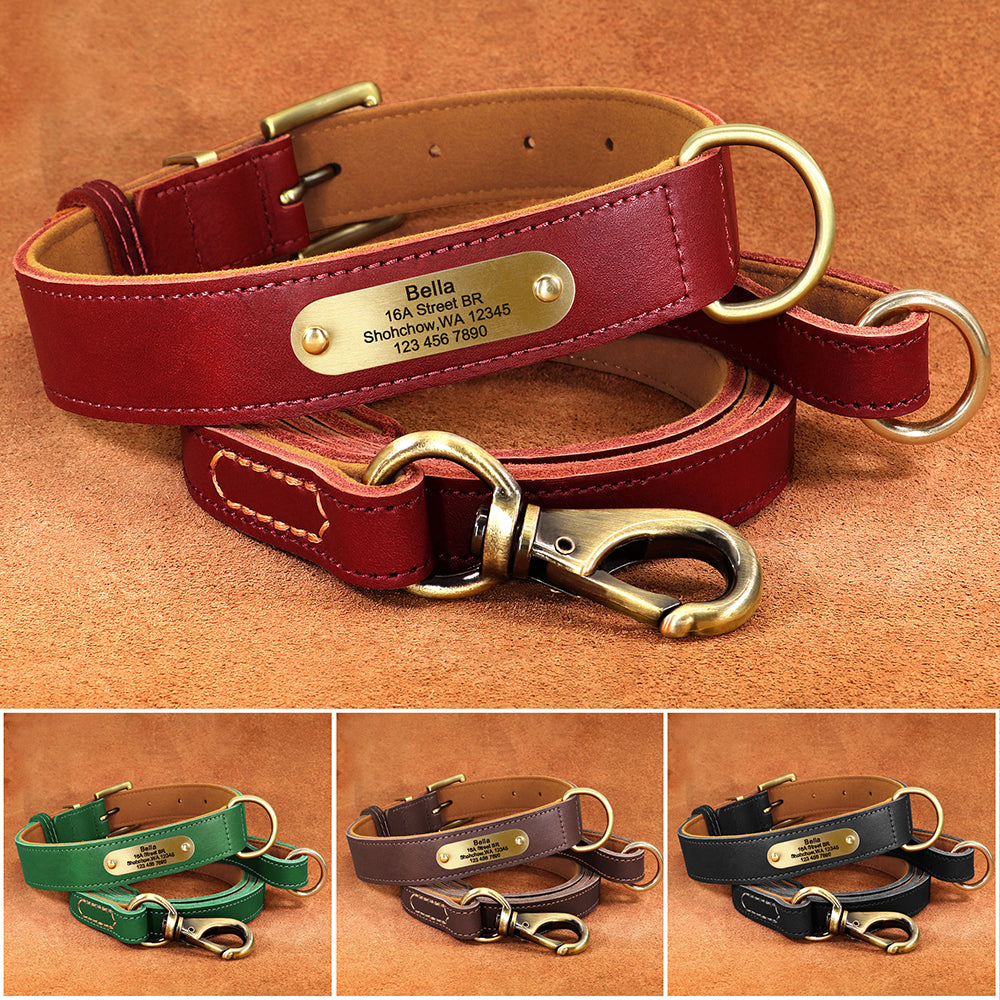Deri Köpek Tasması SET 51118901