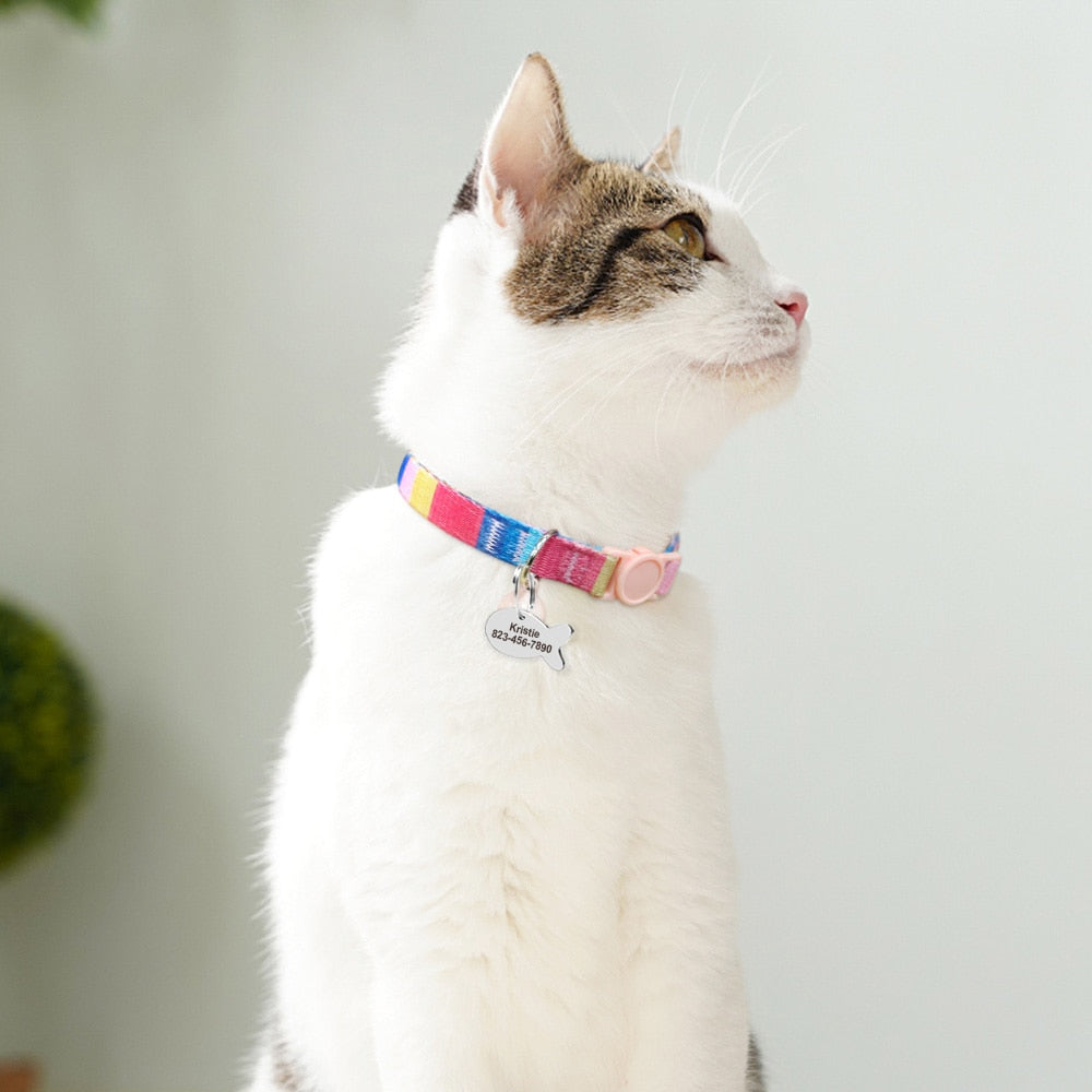 Kedi Tasması isimli