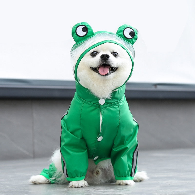 Köpek Yağmurluk