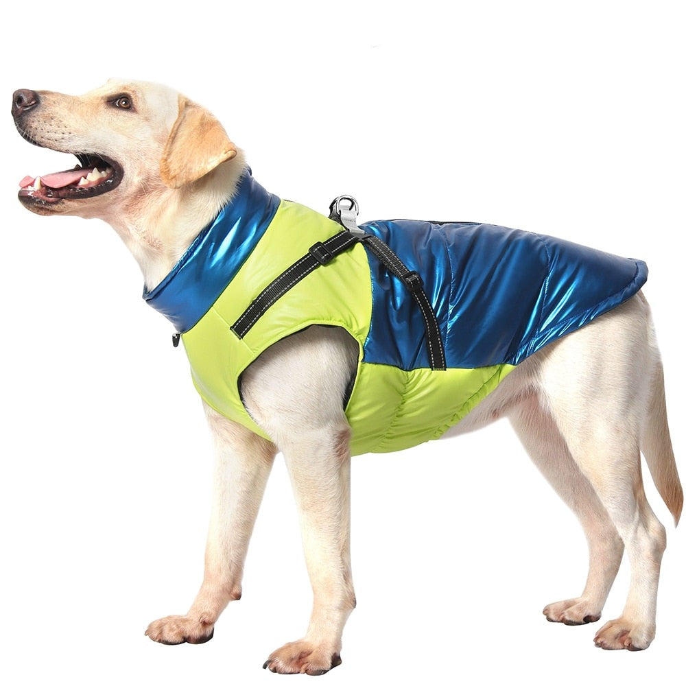 Köpek Yağmurluk
