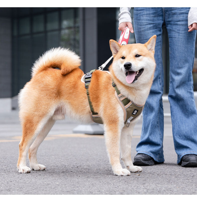 Köpek Göğüs Tasması 51005989