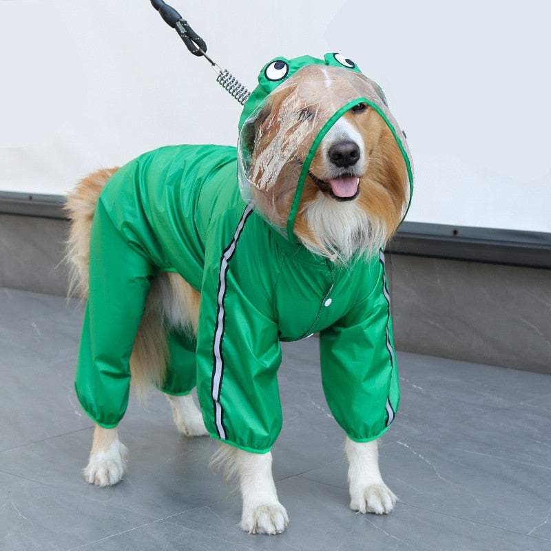 Köpek Yağmurluk