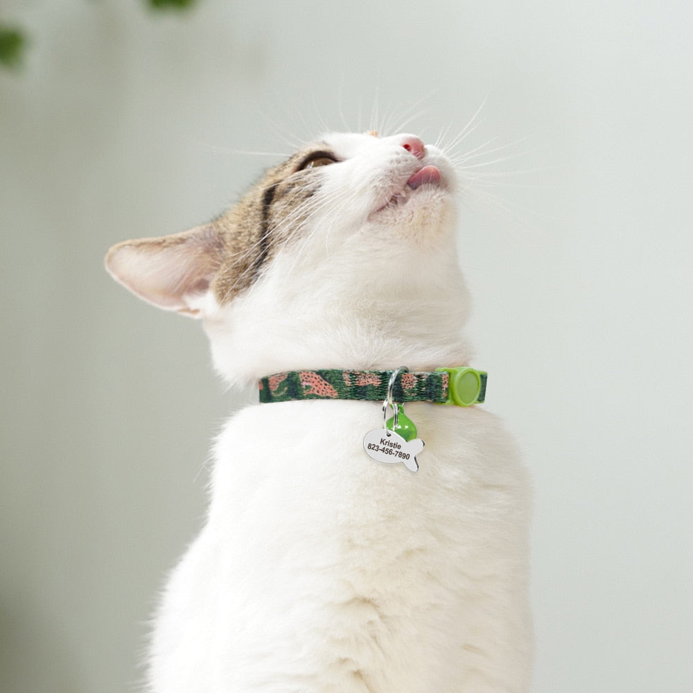 Kedi Tasması isimli