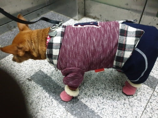 Köpek ayakkabısı 30169770