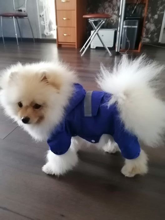 Köpek Yağmurluk Ayakkabı SETİ 29891857