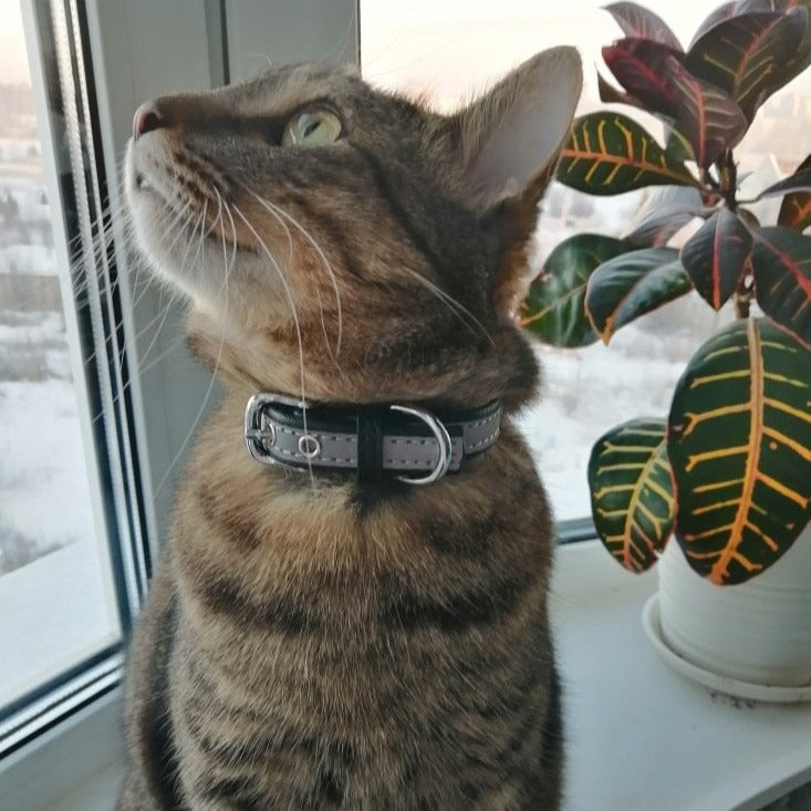 Kedi tasması isimli reflective 13313551