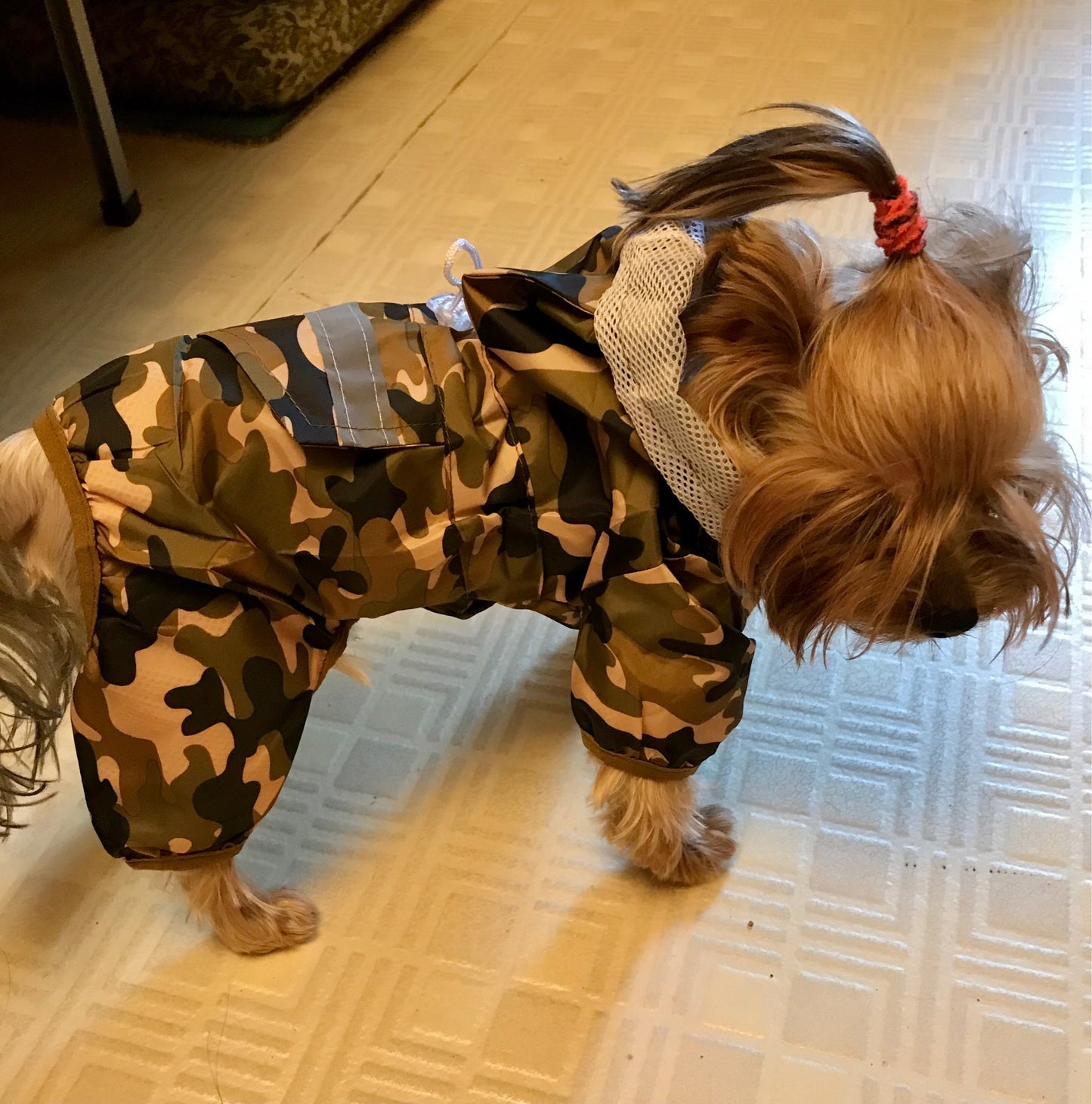 Köpek Yağmurluk Ayakkabı SETİ 29891857