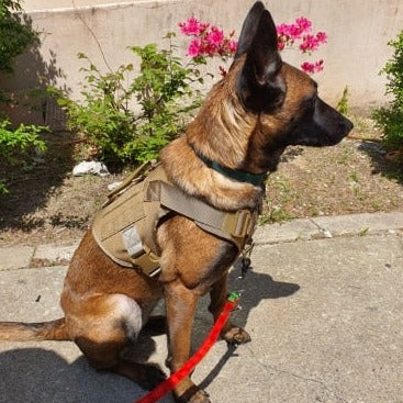 Köpek göğüs tasması tactical 40621272