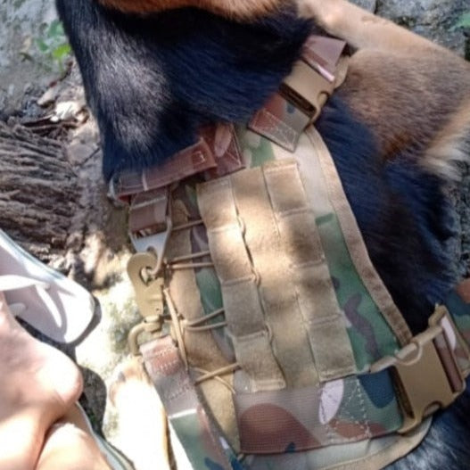 Köpek Göğüs Tasması Kayış Set Tactical 39810022
